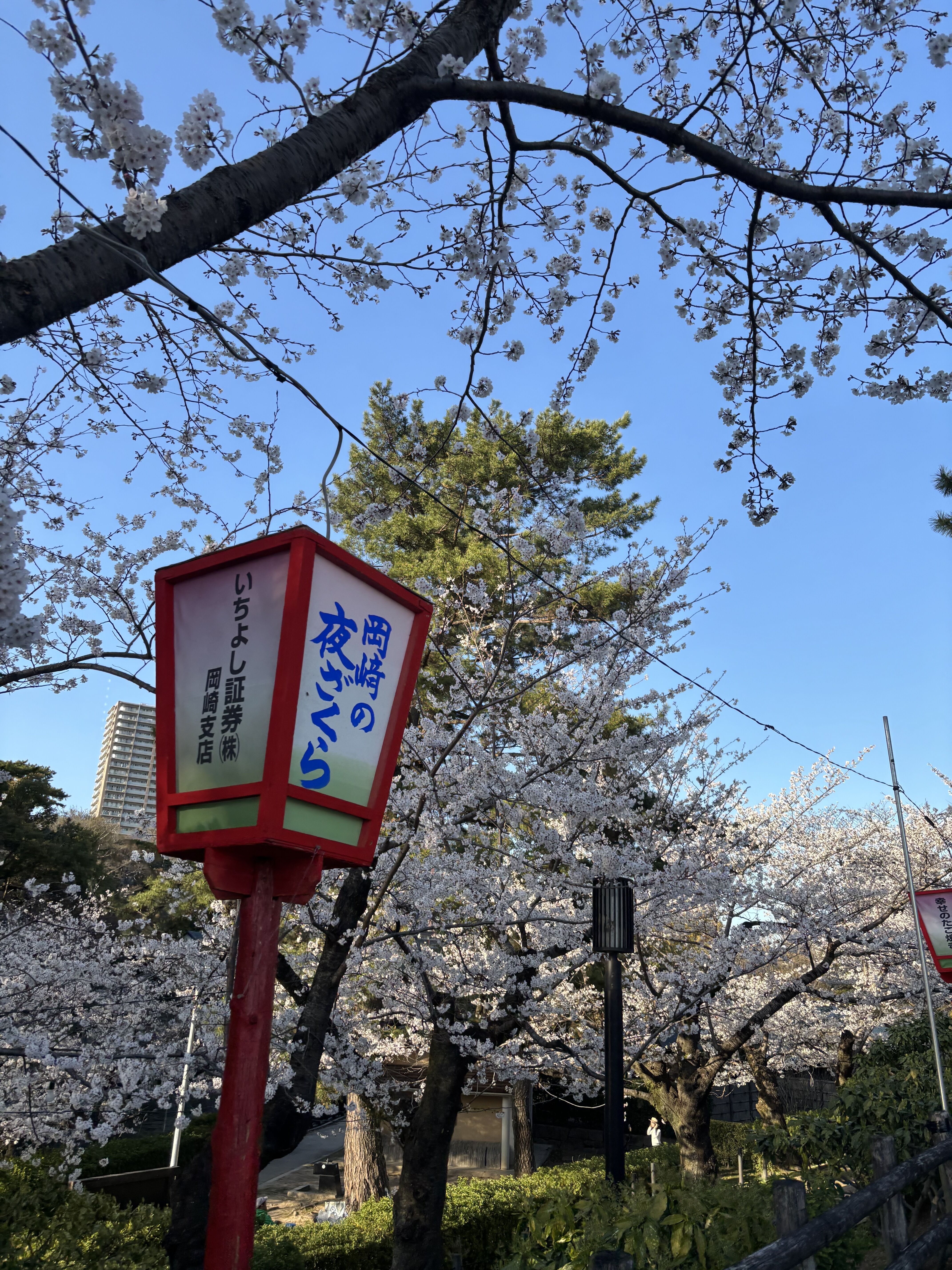&#127800;