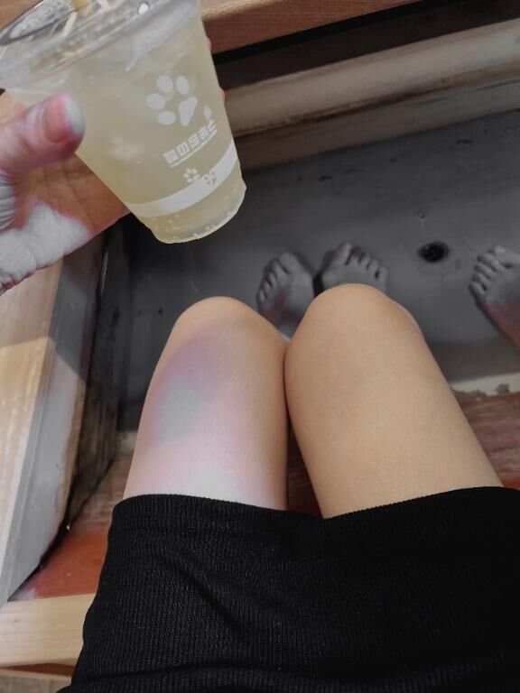 オキニトーク