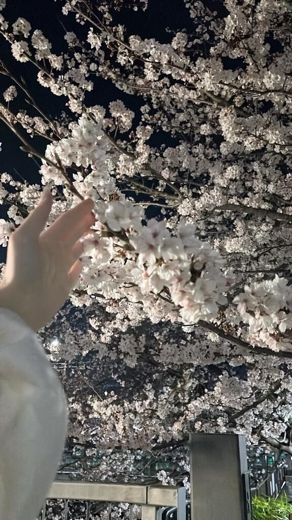 出勤！