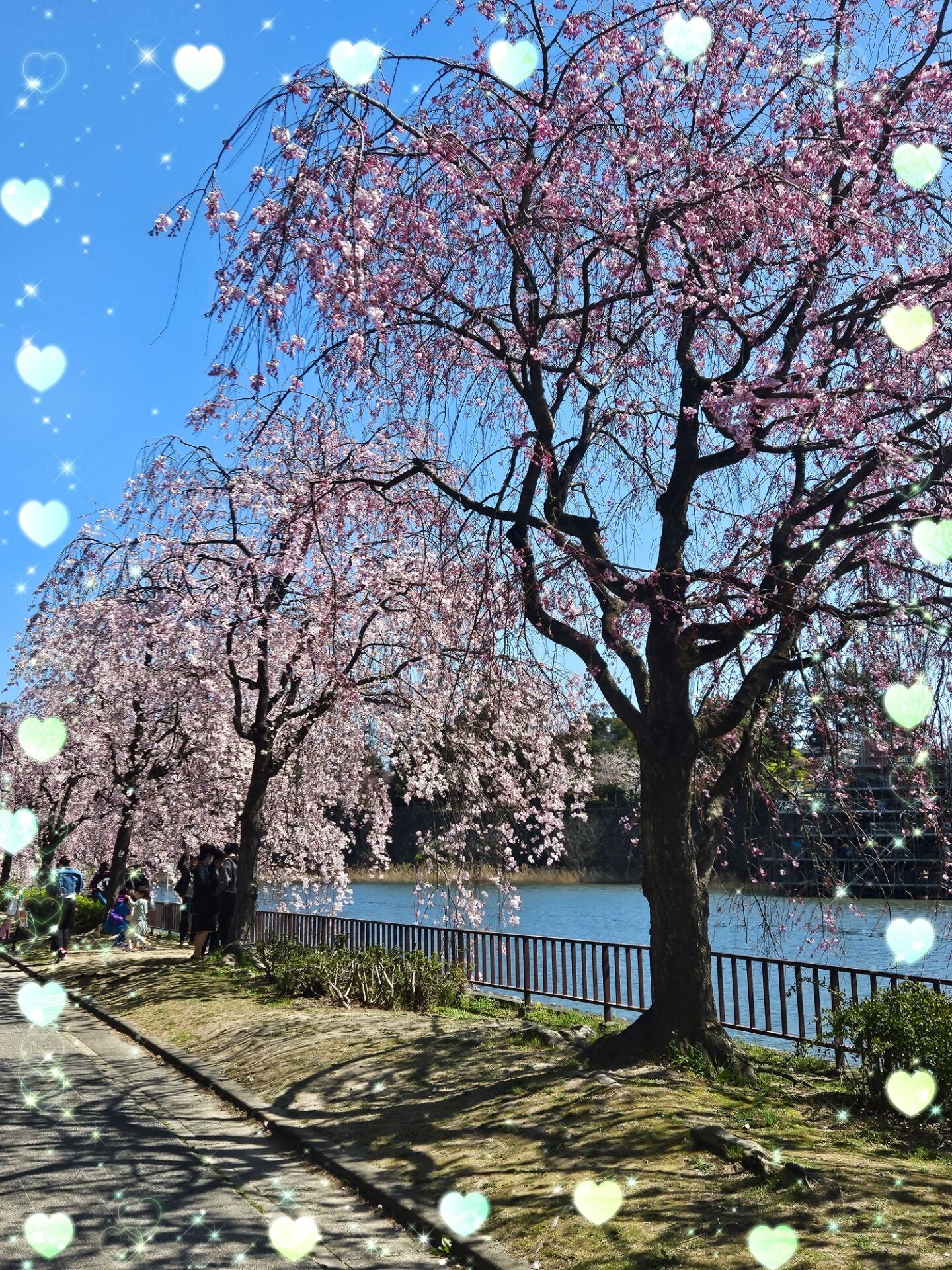 &#11088;出勤&#11088;