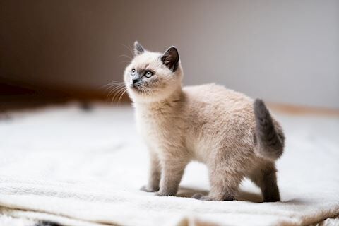 おはようございます