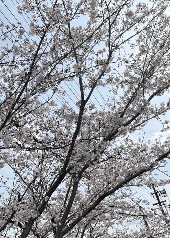 &#9825;出勤しました&#9825;