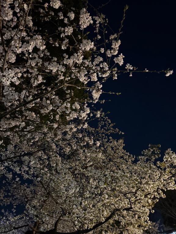 楽しかった&#9825;