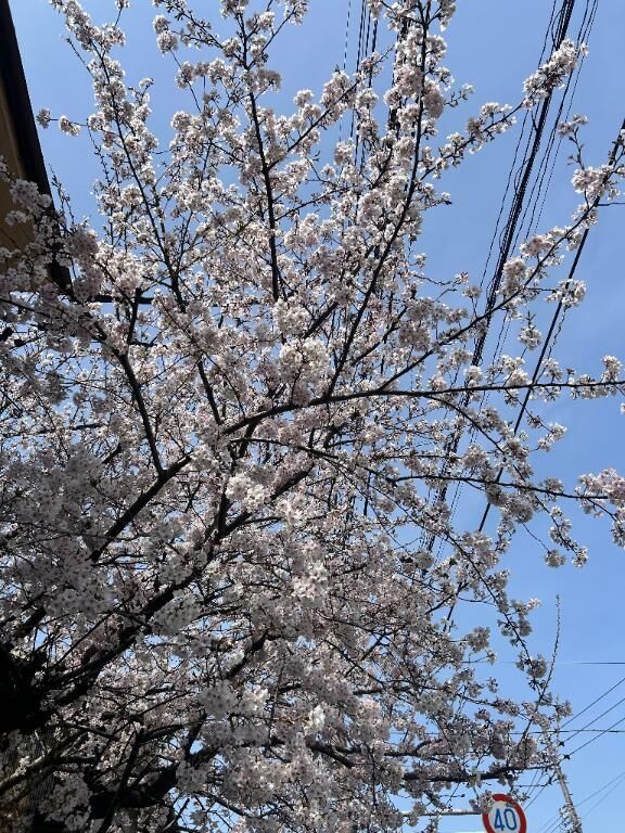 ありがとう♡