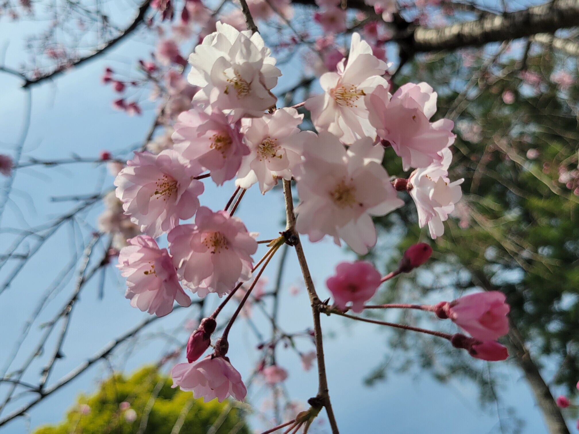 5日(土)　16時　&#9825;様