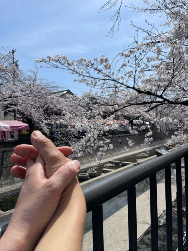 ほたるの人妻川柳日記 (お花見デート)