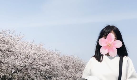 今日もお花見に