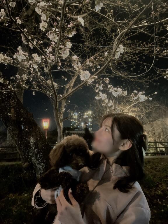 お花見&#127800;
