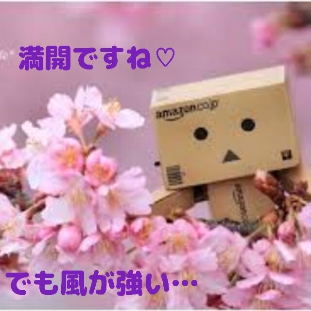 ポケットが浅かったのかな