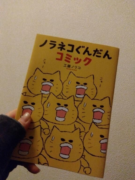 買っちゃったー！