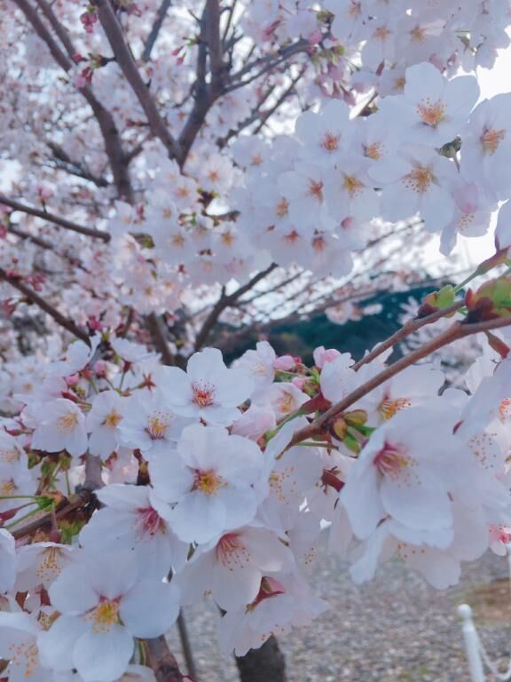 出勤します
