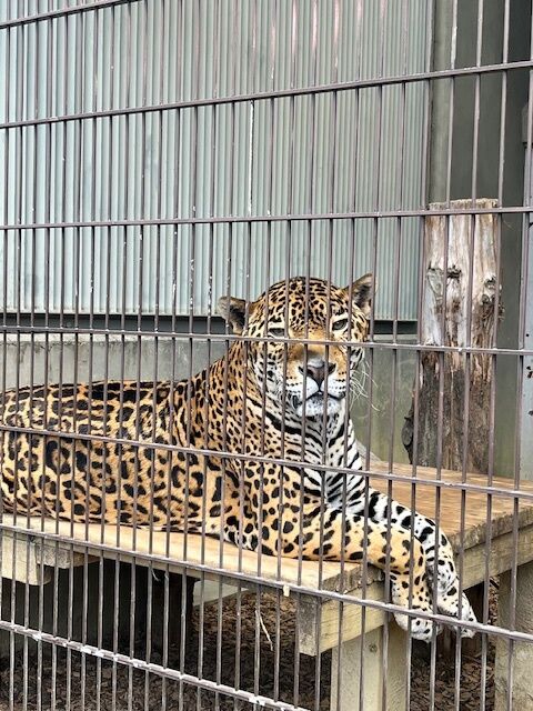 行って来ます(*´-`)