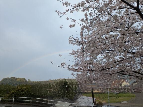 &#9825;&#9825;本日ミツバ出勤です&#9825;&#9825;
