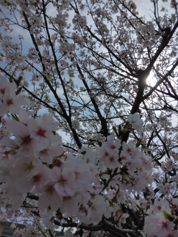 木曜日初めてお誘いを下さったT様
