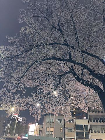 今日は、激寒