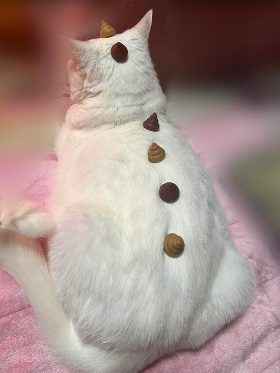 遊びすぎました。