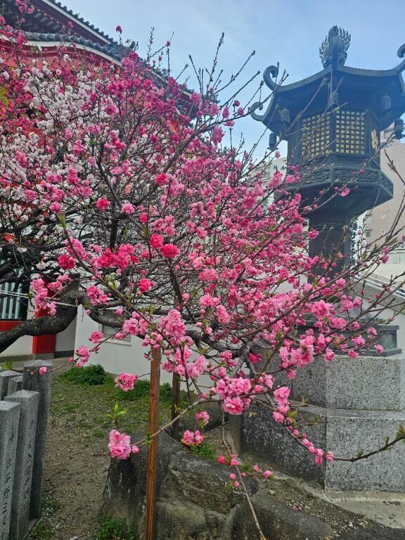微妙な