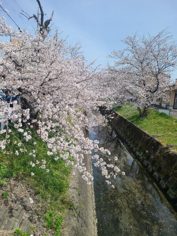 よかったぁ