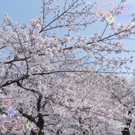 花見&#9825;