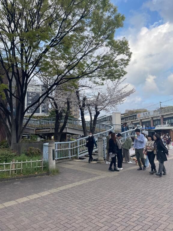 桜満開だね