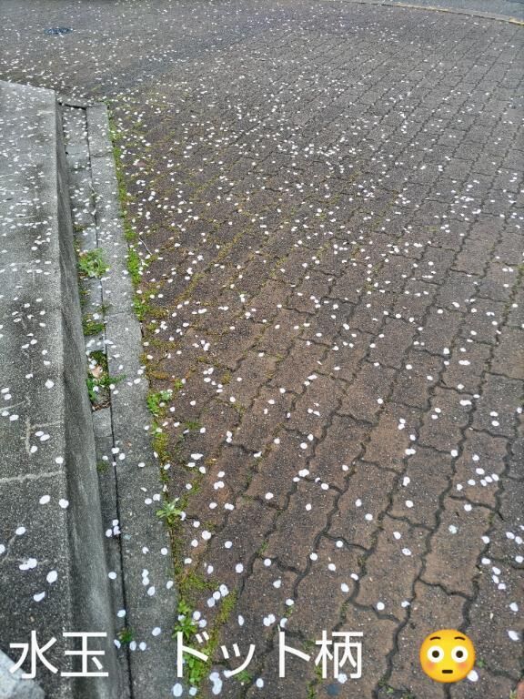 水玉模様