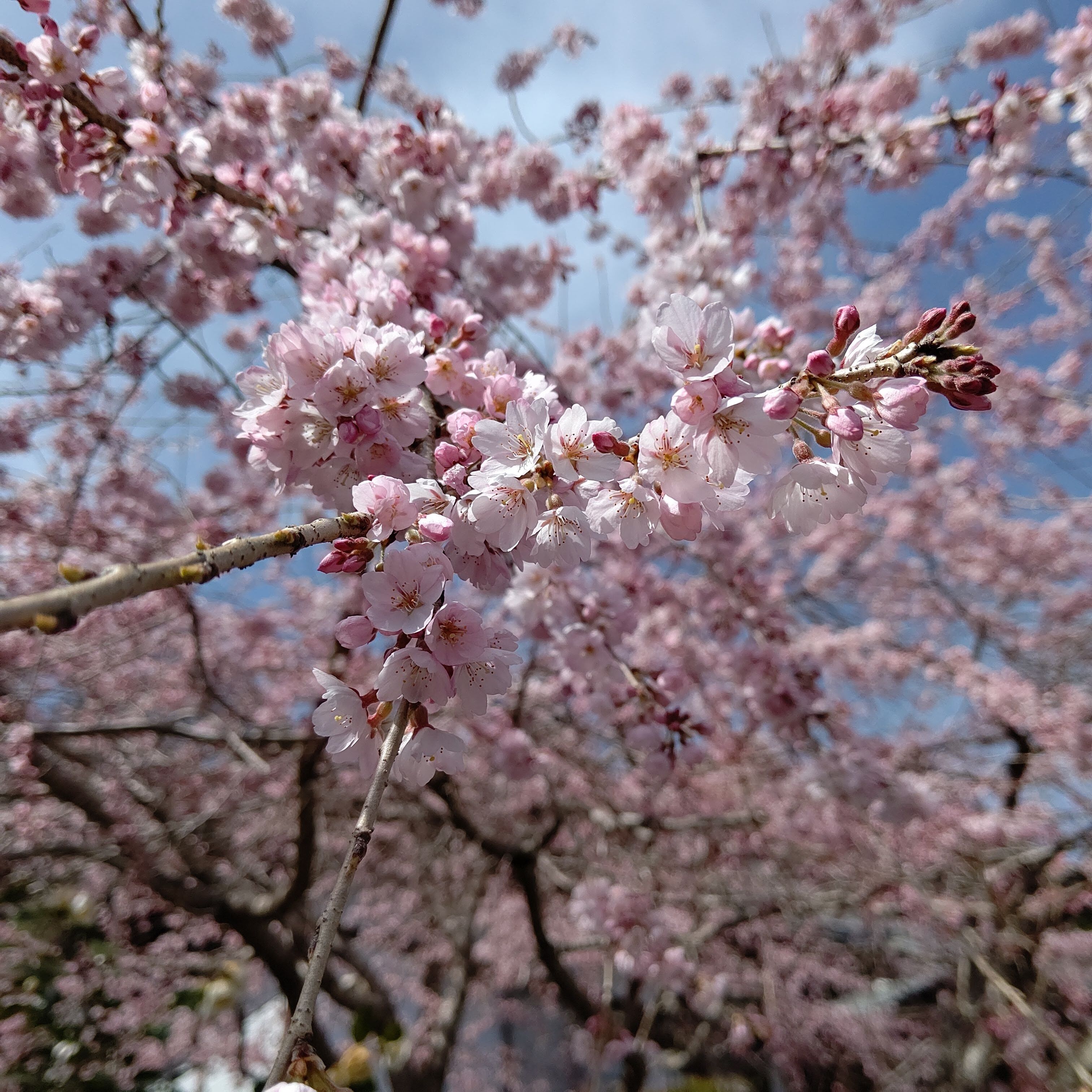 大丈夫かな&#9825;