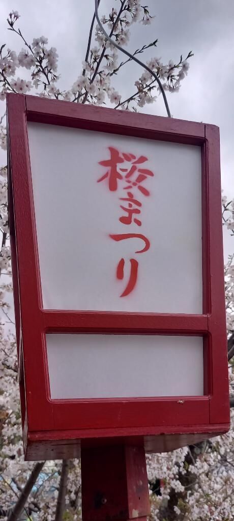 桜