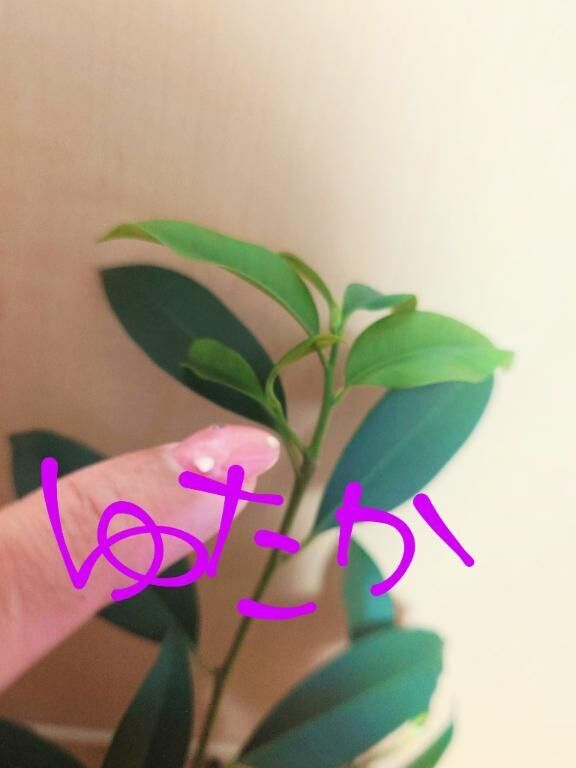 今日のありがとう☆