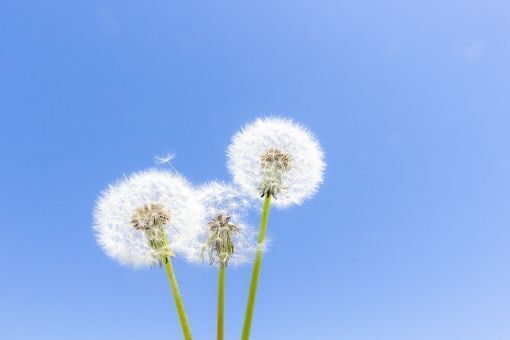6日(日)　18時15分　&#9825;様