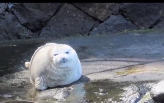 ありがとう&#9825;