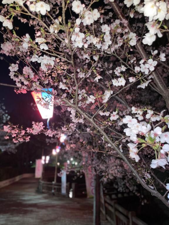 日本に生まれてよかった&#9825;