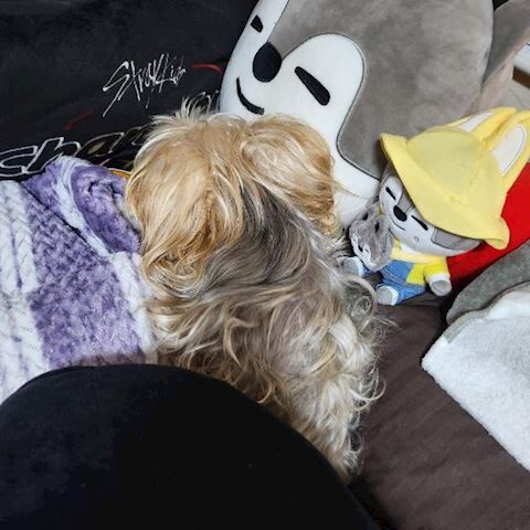 あたしの大事な可愛い子ちゃん★