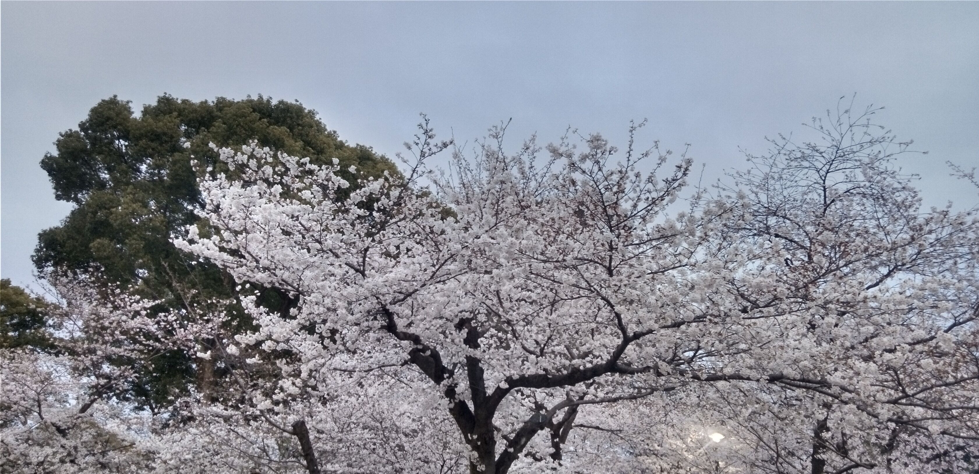 今週も頑張ろう