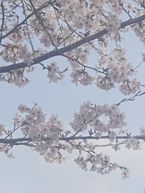 おはようございます☀︎