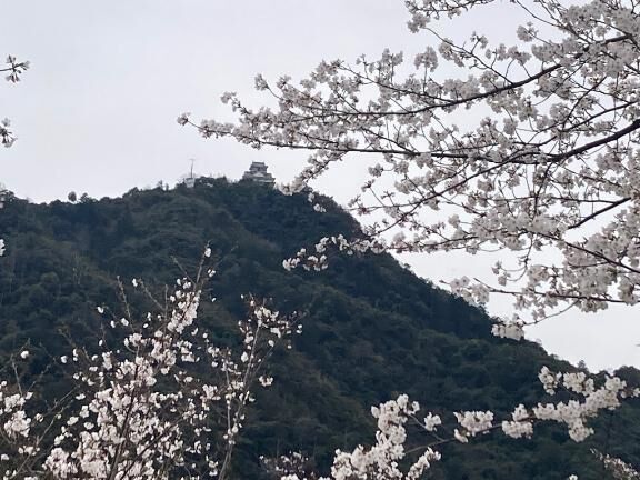 4月7日