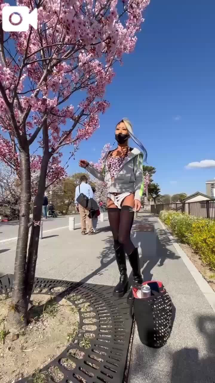 まだお花見日和が続くのかな&#128037;&#127800;&#129303;