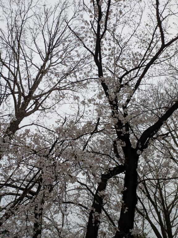 こんにちは&#x301C;