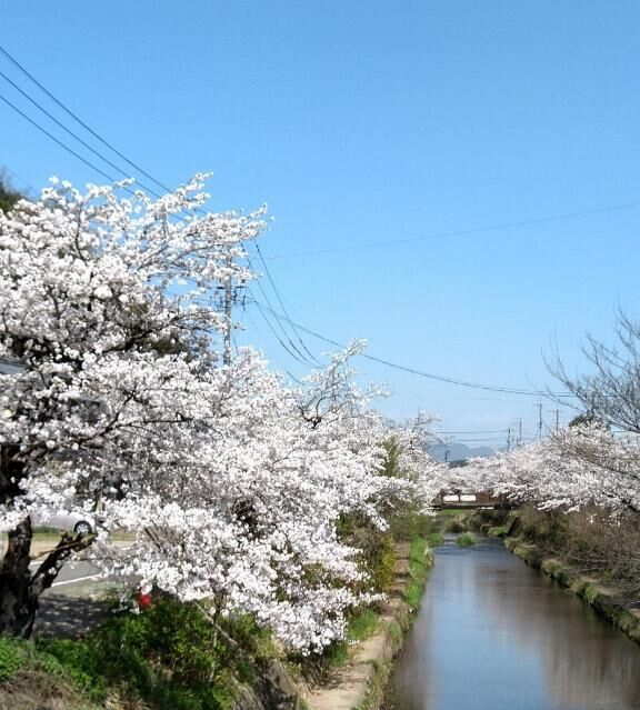 ( *&#9825;&#9825;&#9825;)ﾉこんにちゎ&#9825;*.ﾟ