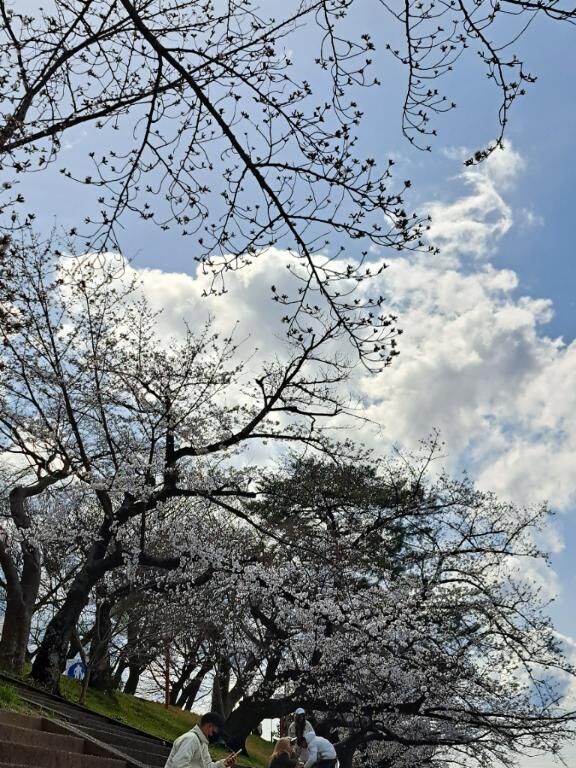 お礼です