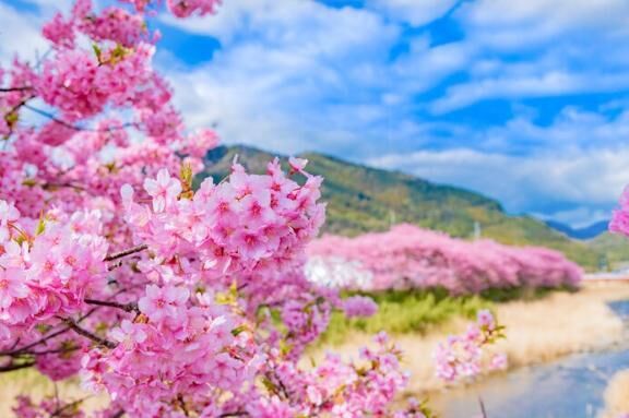 2ヶ月ぶりの出勤です(*^^)v