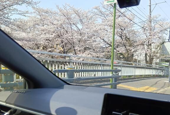 お休みです