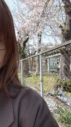 本日の