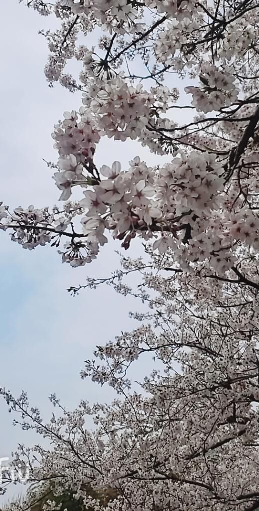 お休みにしたけど‥