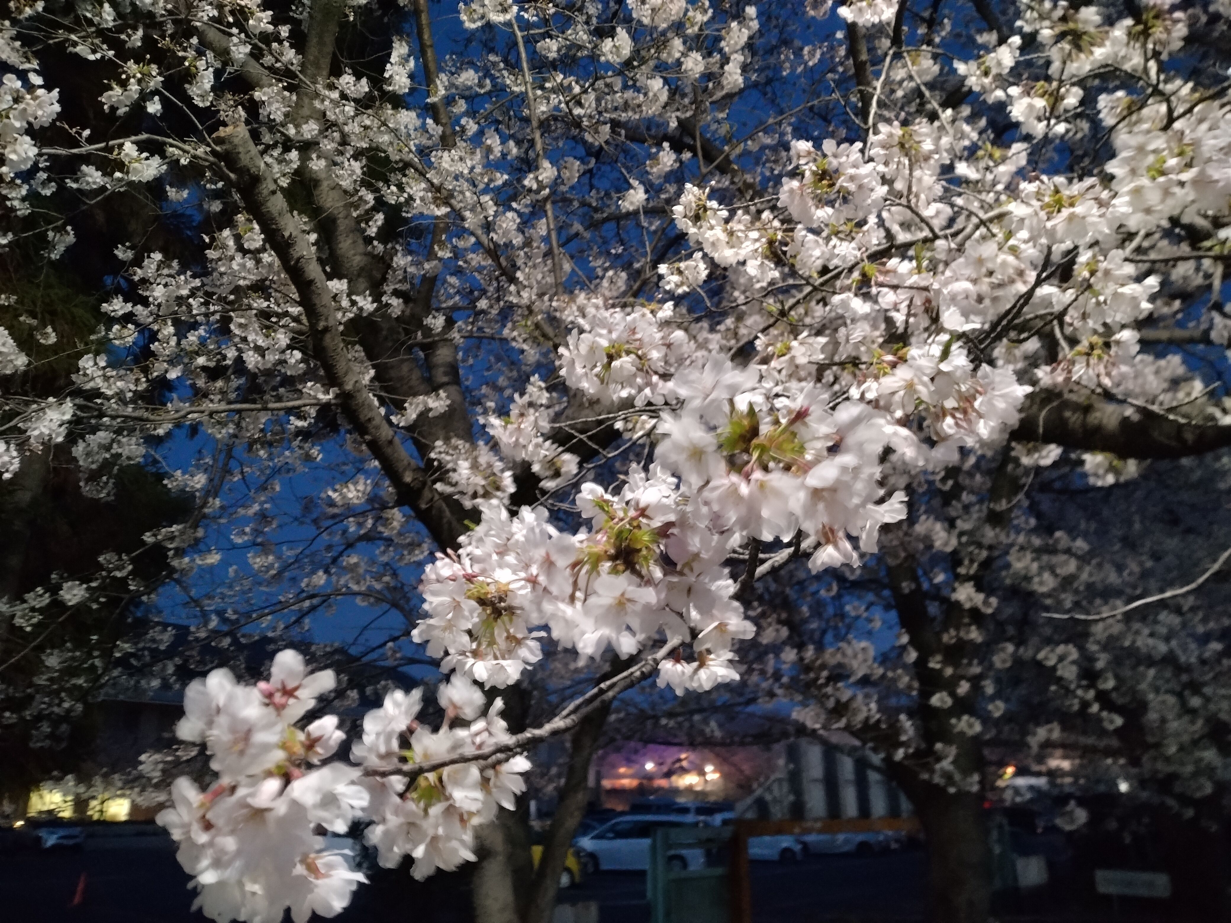 明日は出勤&#x301C;♪