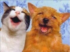 ご予約ありがとうございました