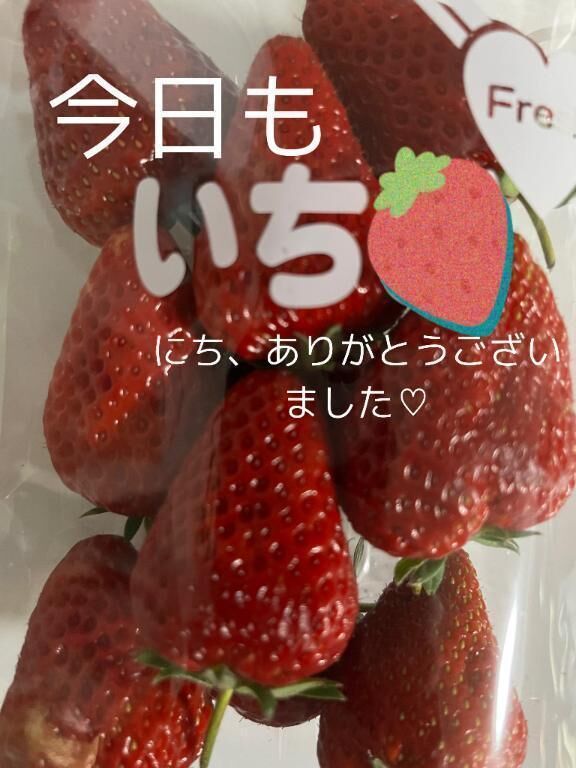 今日も1日
