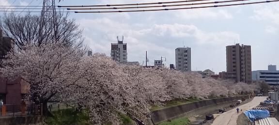 おはよ♪ヽ(*´∀｀)ﾉ