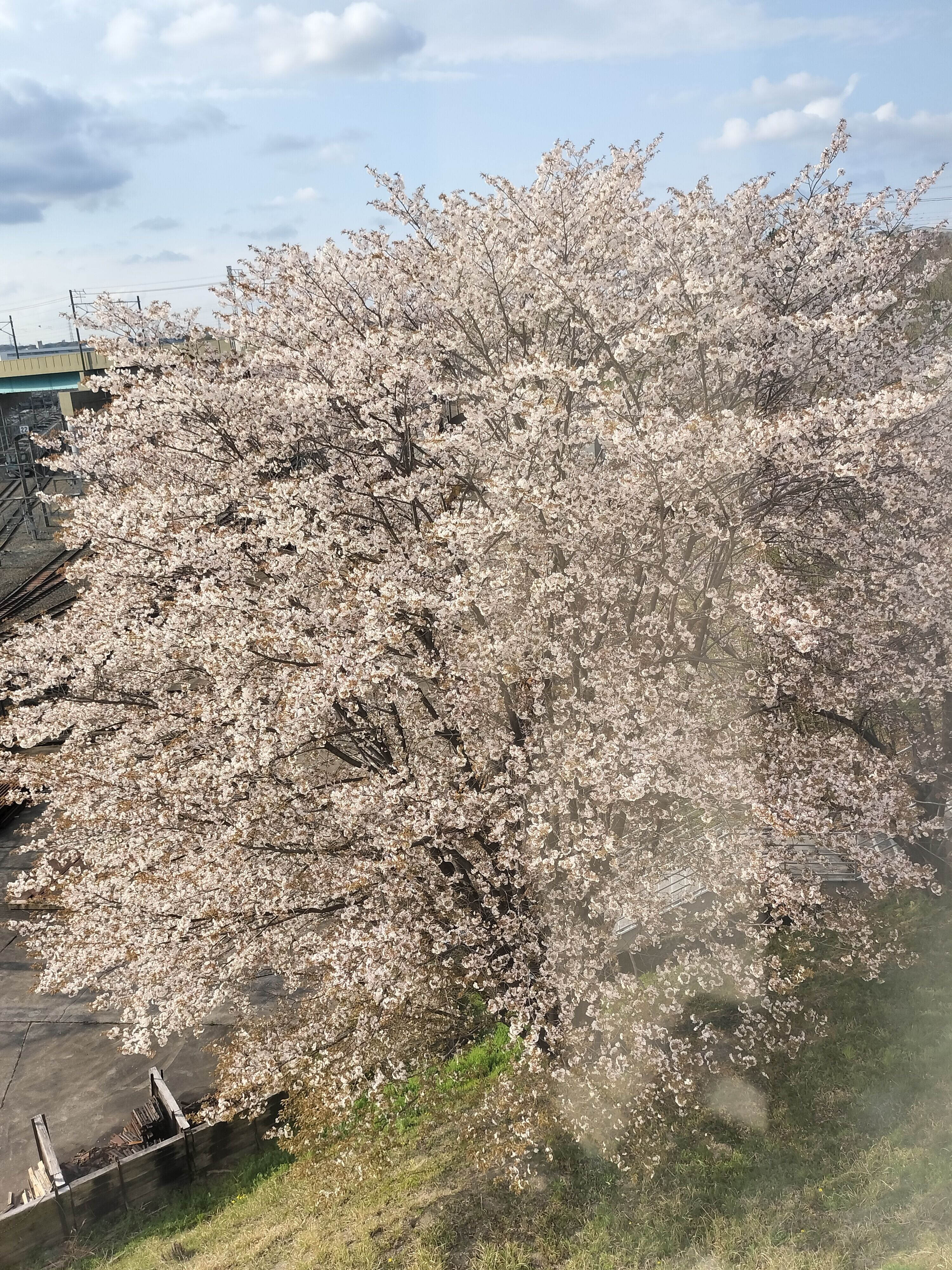 おはよー