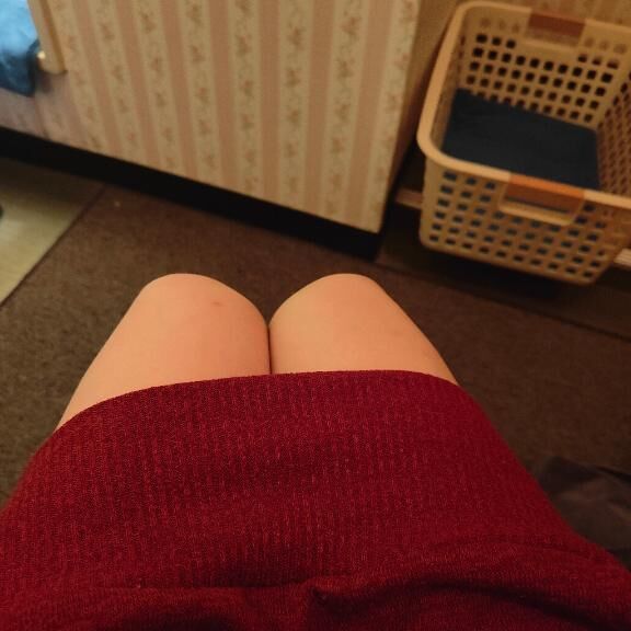 はじめまして（｡･ω･｡）