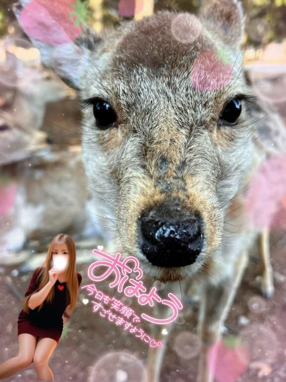 おはよう♡